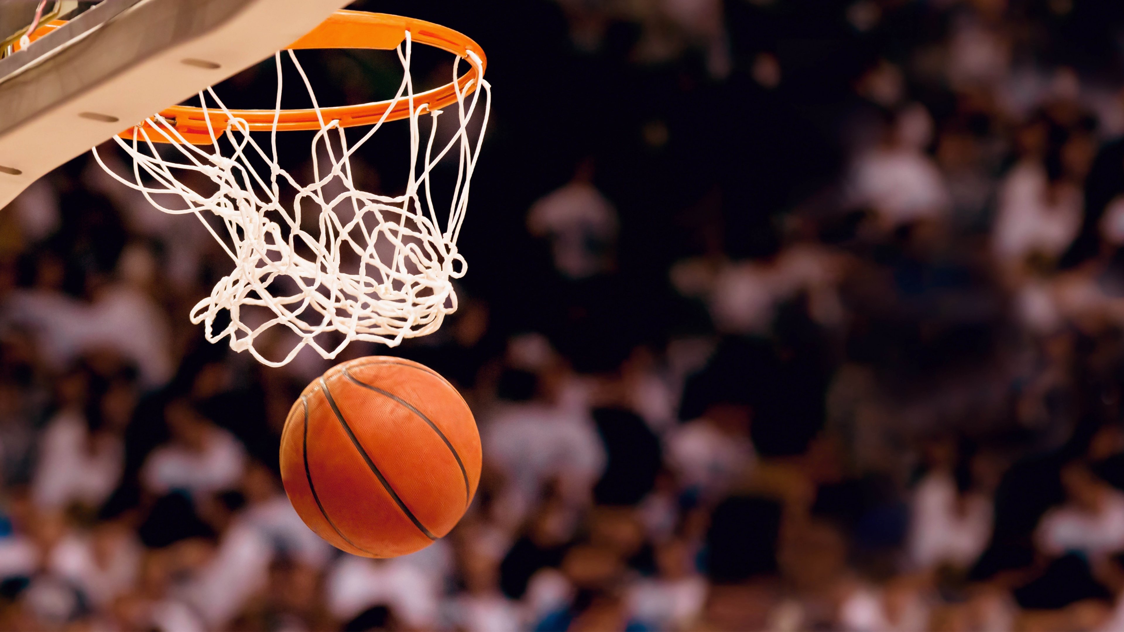 开云体育登录-构思
